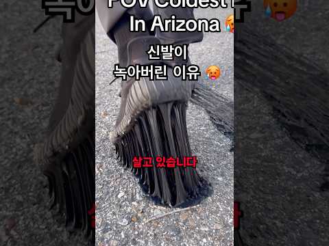 지옥에서의 생활 🔥(픽션)