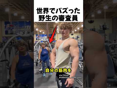 野生の審査員