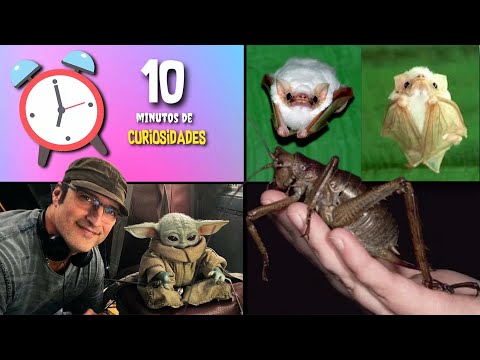 30 COISAS QUE VOCÊ NÃO SABIA EM 10 MINUTOS 🚀🧠 [227]