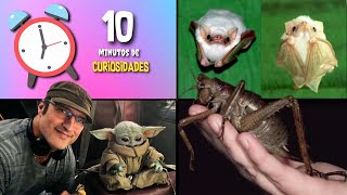 30 COISAS QUE VOCÊ NÃO SABIA EM 10 MINUTOS 🚀🧠 [227]