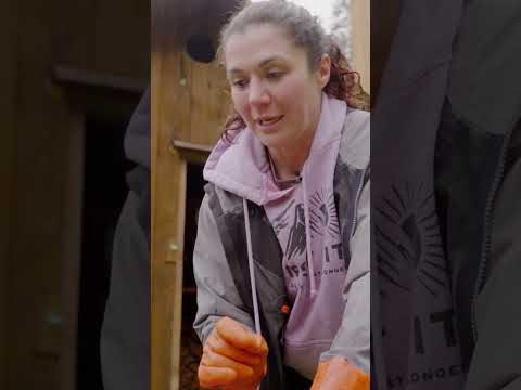 All salmon have worms!