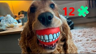 Новые и самые ржачные приколы  недели ( 12 серия )