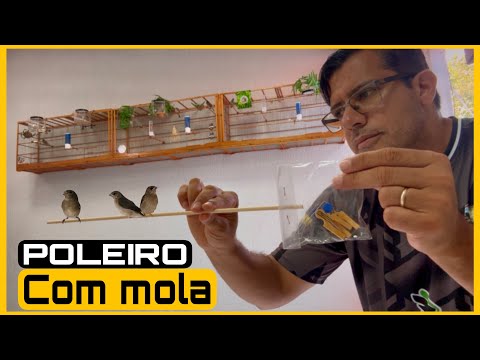 CABEÇA DE POLEIRO COM MOLA MALHA FINA PARA COLEIRO PAPA-CAPIM