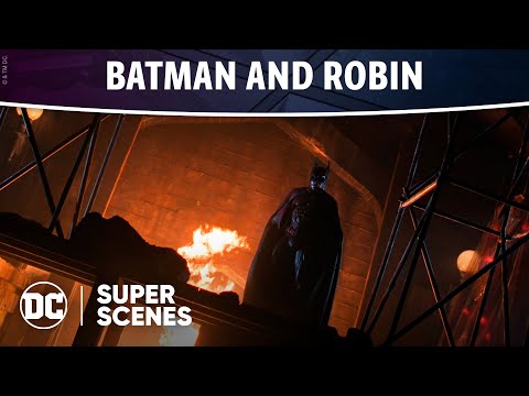 DC Super Scenes: Batman and Robin