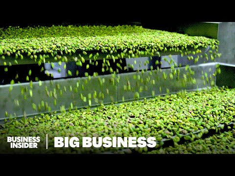 YouTube video thumbnail: How California Produces 99% Of America’s Pistachios In A Drought