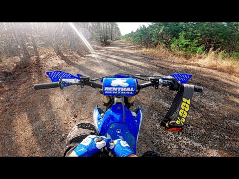 Alone in the Woods - 2025 Yamaha YZ250F