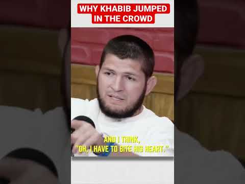 Why Khabib Attacked Dillon Danis  #shorts #khabib