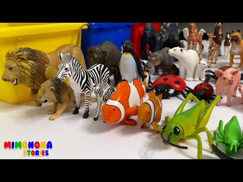 Un pez grande un pez pequeño 🐟 Nombres de animales para niños ✨ Mimonona Stories