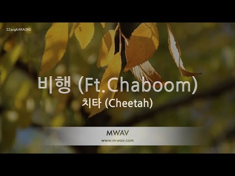 [짱가라오케/노래방] 치타(Cheetah)-비행 (Ft.Chaboom) [ZZang KARAOKE]