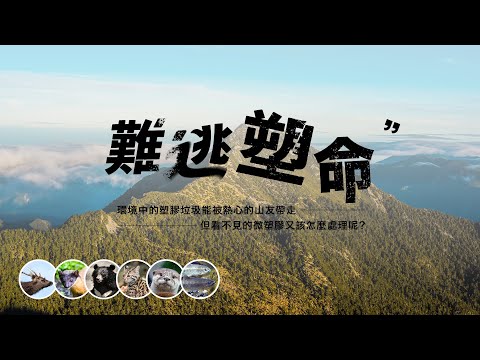 《難逃塑命》臺灣保育類野生動物及棲地微塑膠調查 紀錄片（完整版） - YouTube