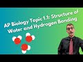 Properties and Behavior of Water