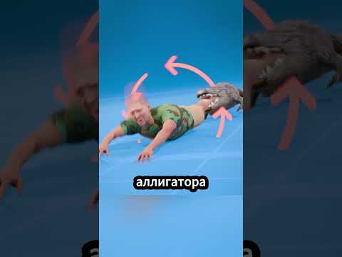Когда аллигатор атакует: есть ли шанс на спасение? 🐊😱 #факты