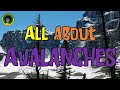 Avalanche Awareness and Safety Measures