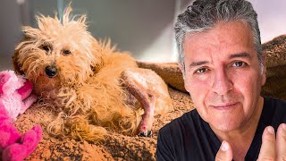 Mi Historia Podría Terminar Hoy