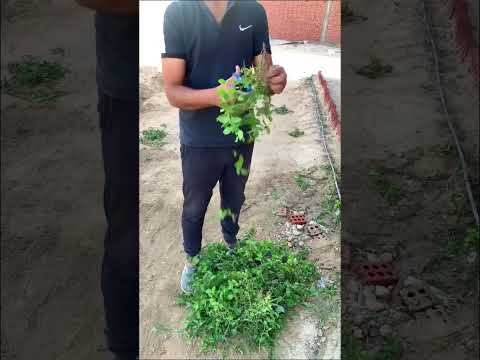 تنظيف مكان :اعادة نشر