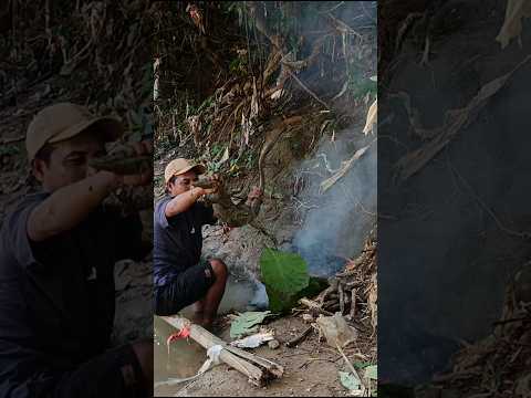 Apa Yang Terjadi โ Saksikanlah.. #adventure #survival #hunting #hunter #lizard #lizards