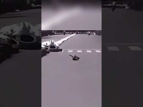 Biker gets revenge on his opponent ๐