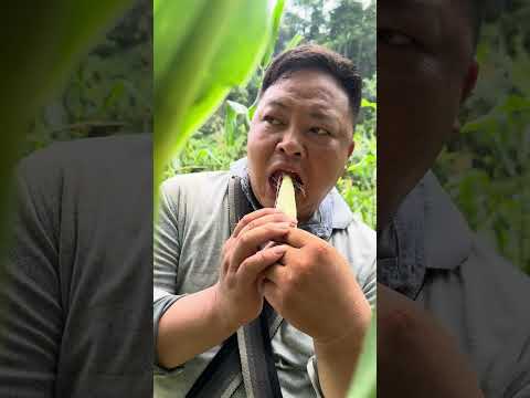 Very few people know this way of eating corn #farming #survivalskills #bushcraft #fruit #corn