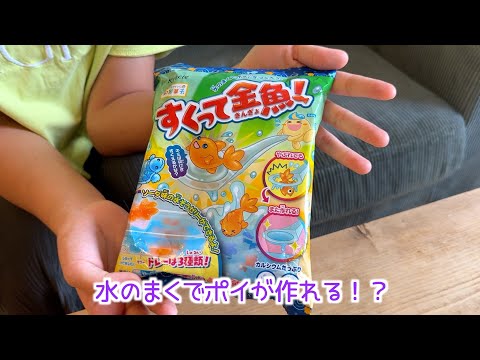 お家で食べられる金魚すくい！【すくって金魚！】