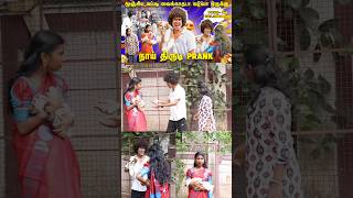 யார பாத்துடா நக்மா - னு சொல்ற 😡#shorts #comedy #funny #prankvideo #orangemittai