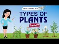 Characteristics of Plants and Their Types