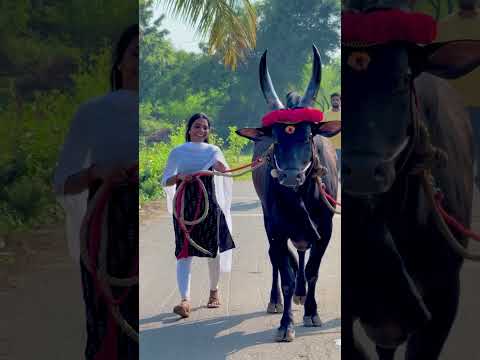 # trending #shorts #video