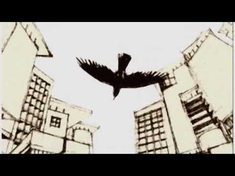 Shironamhin | Pakhi [Official Music Video] | #bangla Song