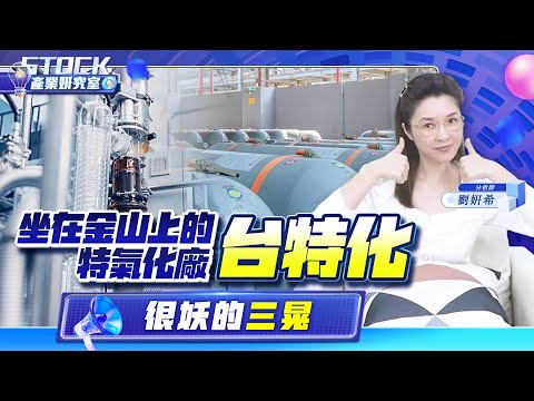 【產業妍究室】坐在金山上的特氣化廠 台特化 很妖的 三晃2024.10.01 分析師  劉妍希