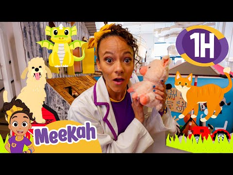 Meekah Becomes A Vet! | Meekah's Animal Adventures | Educational Videos for Kids | Blippi and Meekah