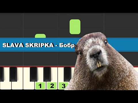 SLAVA SKRIPKA - Бобр | Piano Cover