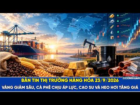 Bản tin thị trường hàng hóa 23/9/2026: Vàng giảm sâu, cà phê chịu áp lực, cao su và heo hơi tăng giá