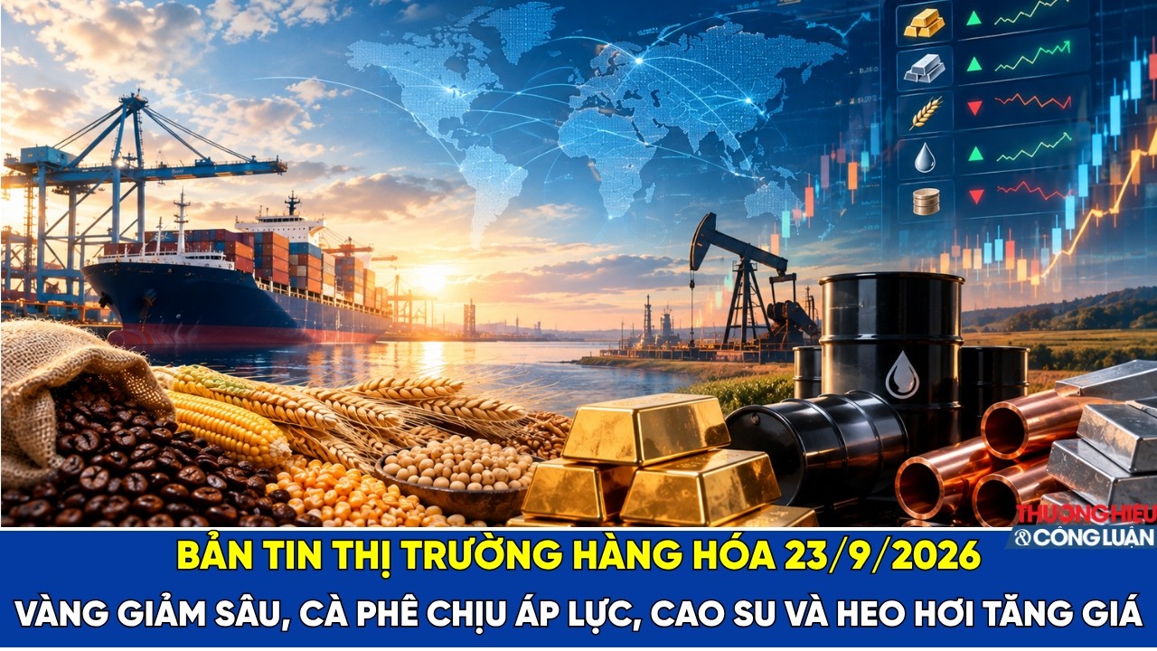 Bản tin thị trường hàng hóa 23/9/2026: Vàng giảm sâu, cà phê chịu áp lực, cao su và heo hơi tăng giá