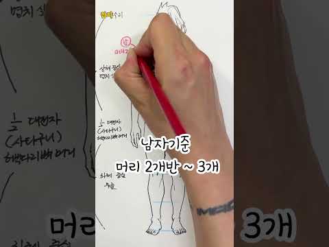 이거 모르면 그림실력 남들보다 2배 늦춰짐;; 그림잘그리는꿀팁 #인체비례 #그림 #그림잘그리는법