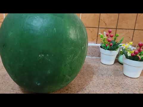 # اكسبلور # بطيخ #دلاع # دلاح# ع حسب مايسمي في أي دولة عربية #2025