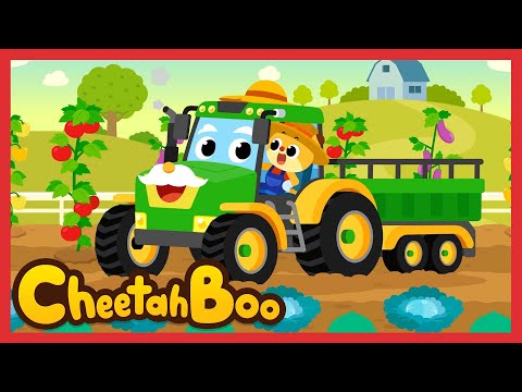 [🎉NEW] Farmer of colorful seeds | Learn colors | Nursery rhymes & Kids Song | #Cheetahboo