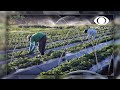 Papel do Produtor Rural e Sustentabilidade