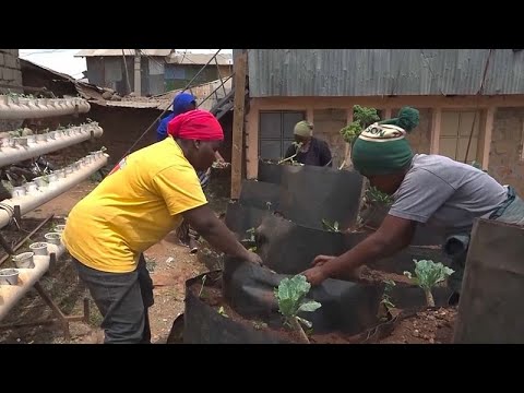 YouTube video thumbnail: The Nubian Women Reviving Traditional Agriculture in Nairobi's Largest Slum