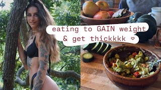 everything I put in my body: supplements & food, juicing & growing sprouts @ home + grocery haul!
