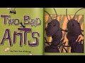 Ants' Journey and Challenges
