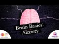 Understanding Stress and Anxiety