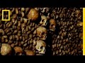 Exploring the Complexities of Human Bones
