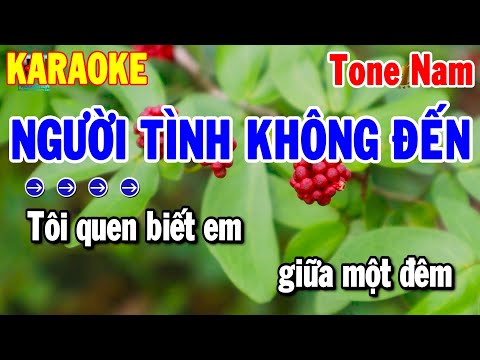 Karaoke Người Tình Không Đến Tone Nam Nhạc Sống Rumba Dễ Hát | Thanh Hải