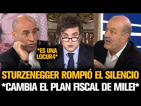 STURZENEGGER ROMPIÓ EL SILENCIO CON EL NUEVO PLAN FISCAL DE MILEI