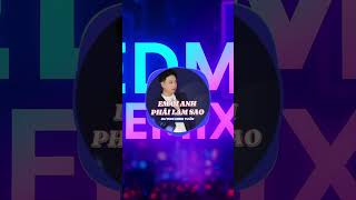 Em ơi anh phải làm sao Dương Minh Tuấn | có nỗi nhớ không thành lời hot tiktok