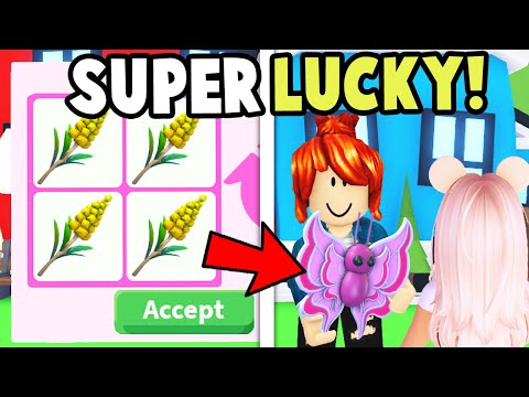 Trading GOLDENROD FLOWER but they OPEN it after!