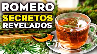 PORQUÉ deberías TOMAR Té de ROMERO a DIARIO (Lo que NADIE te CUENTA)