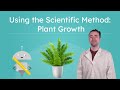 Effect of Colored Light on Plant Growth
