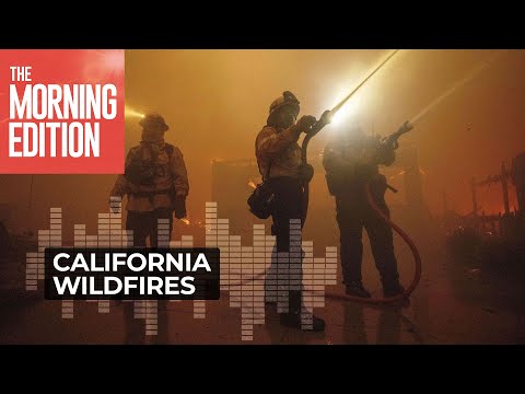 The LA wildfires were years in the making