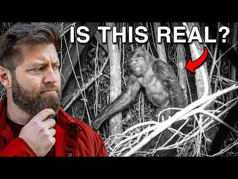 6 Mythical Animals That Actually Exist