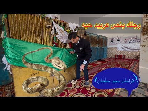 كرامت ومعجزات عجيبه عربيد الحيه